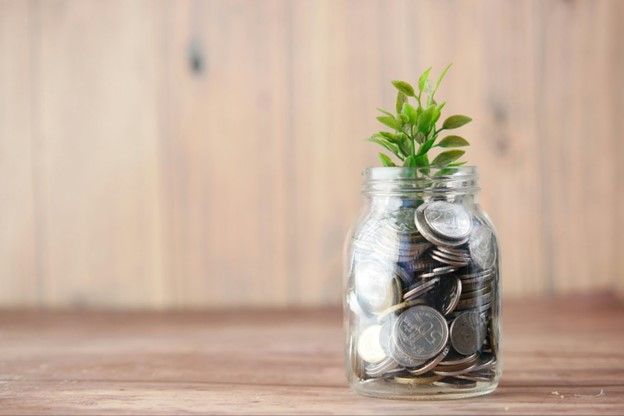A glass jar full of coins with a small green plant sprouting from the top